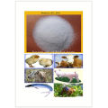 animal additives betaine